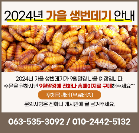 240813_silkworm.jpg