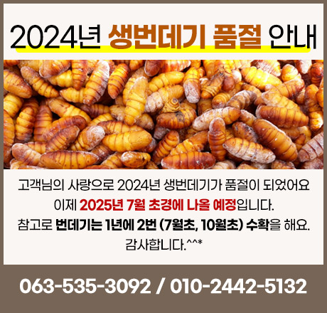 241114_silkworm.jpg